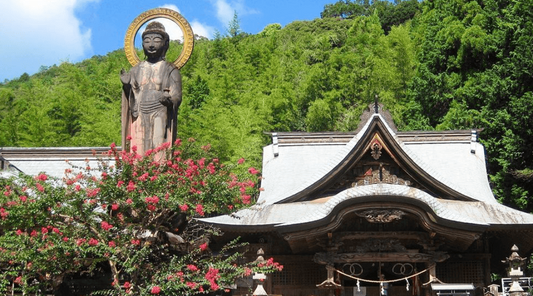 Paul Barach - Author of Fighting Monks & Burning Mountains: Misadventures on a Buddhist Pilgrimage