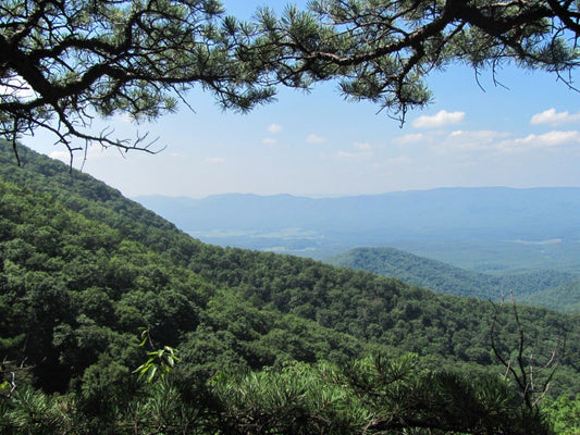 Wild Virginia - George Washington State Park