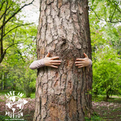 Everyone Has A Role In Environmental Education - Building connections, developing others and sharing the outdoors with Lauren Pyle of Environmental Educators of North Carolina