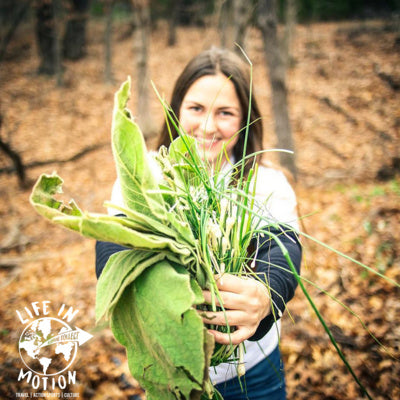 Searching For Goods In The Woods: Foraging and Harvesting with Rachael West of Once Upon A Weed