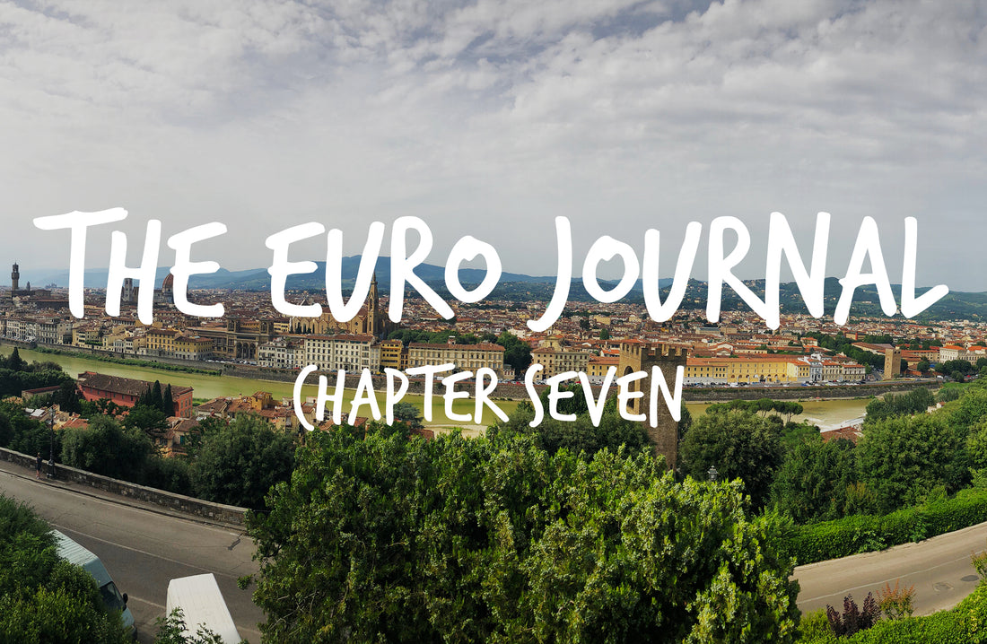 The Euro Journal: Chapter 7