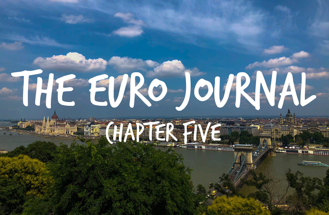 The Euro Journal: Chapter 5