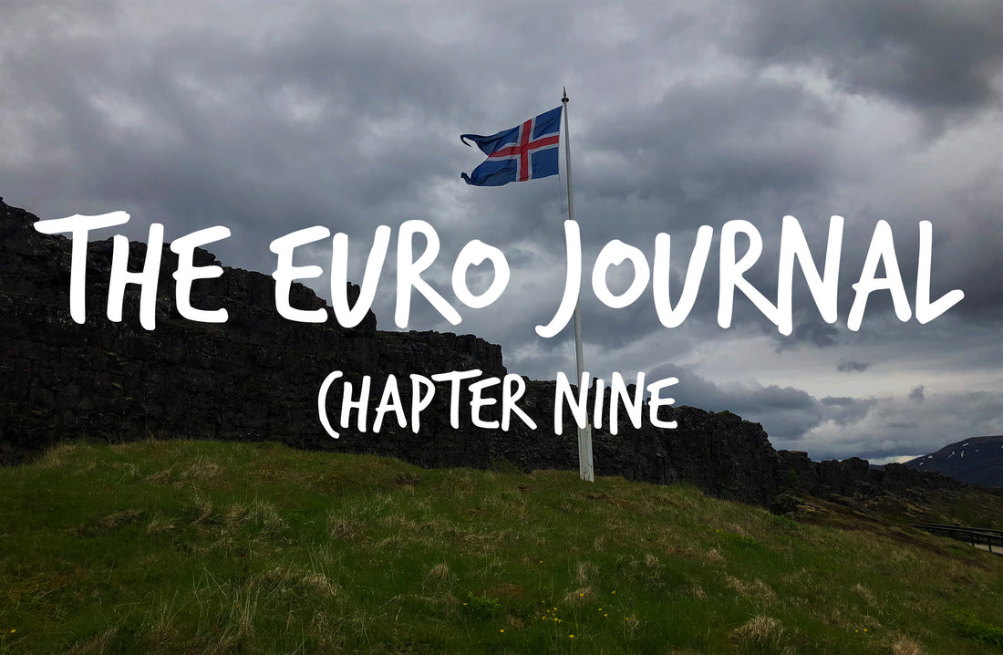 The Euro Journal: Chapter 9