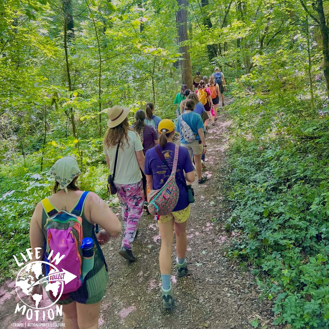 From 20 Acres to 336: How Ijams Became More Than a Nature Center